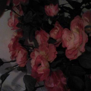 Meet your Posher, Adolphus